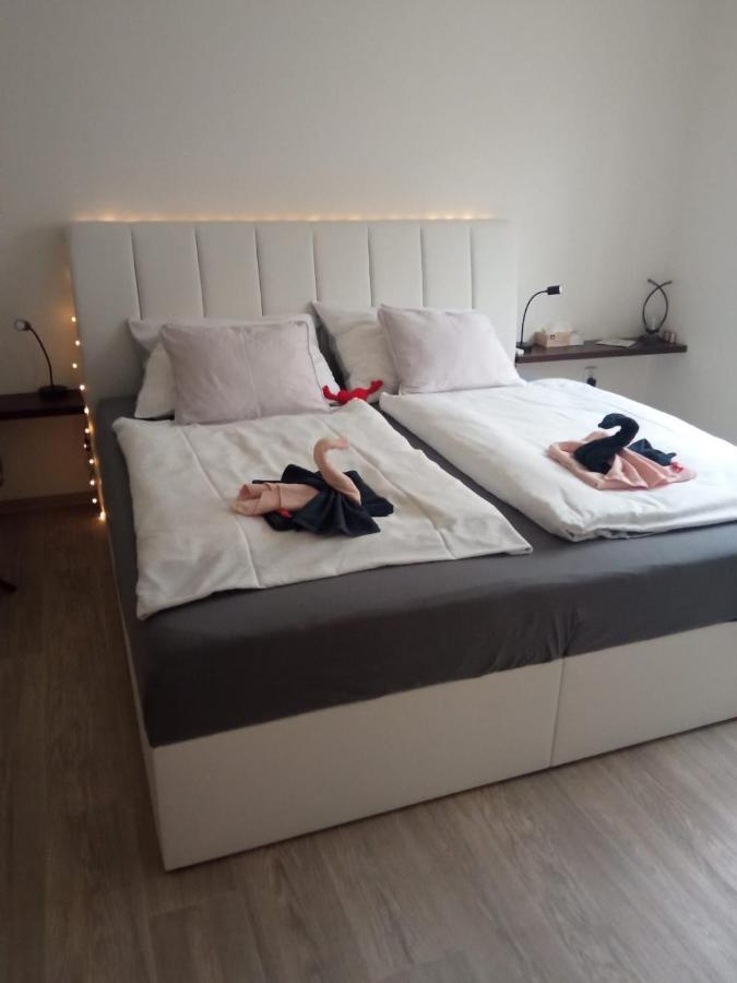 Academic Apartment 布尔诺 外观 照片