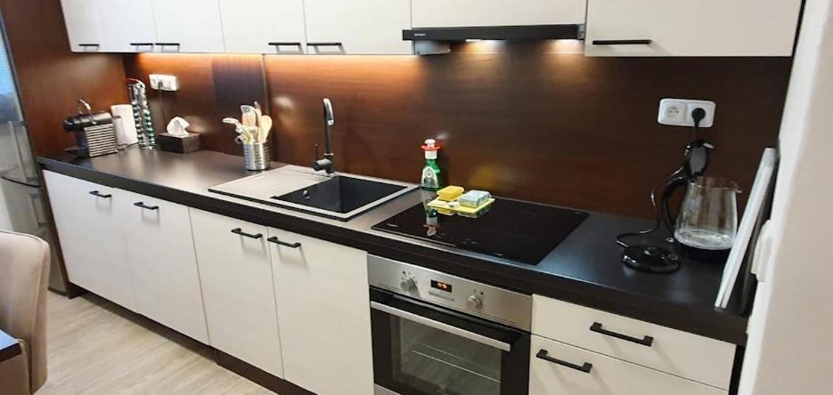 Academic Apartment 布尔诺 外观 照片